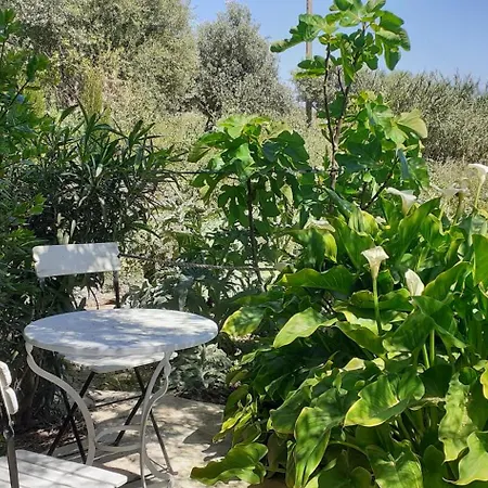 アパート Goatshed *