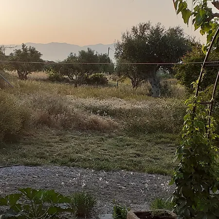 Goatshed Asini (Messenia)
