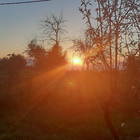 Goatshed アパート